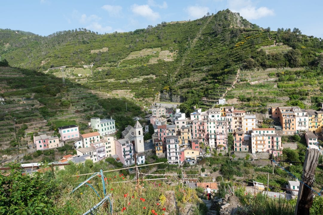 Manarola