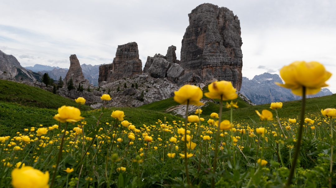 Les aiguilles de Cinq Torri