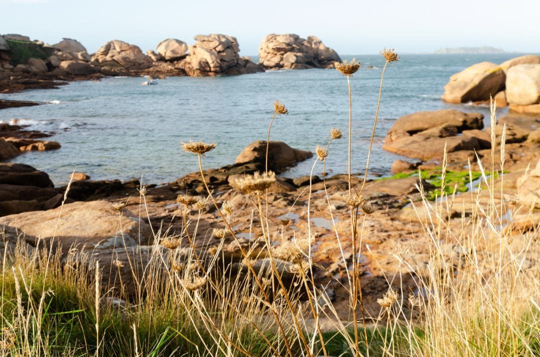 Côte de granit rose