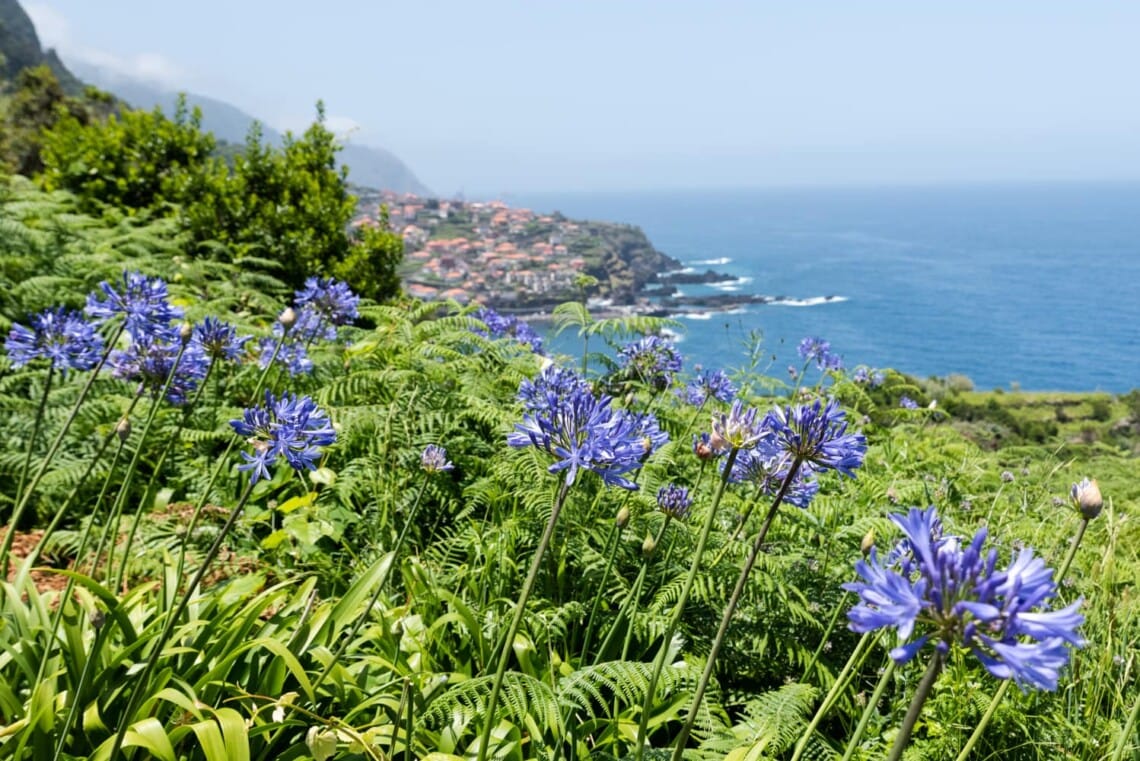 Madère île aux fleurs