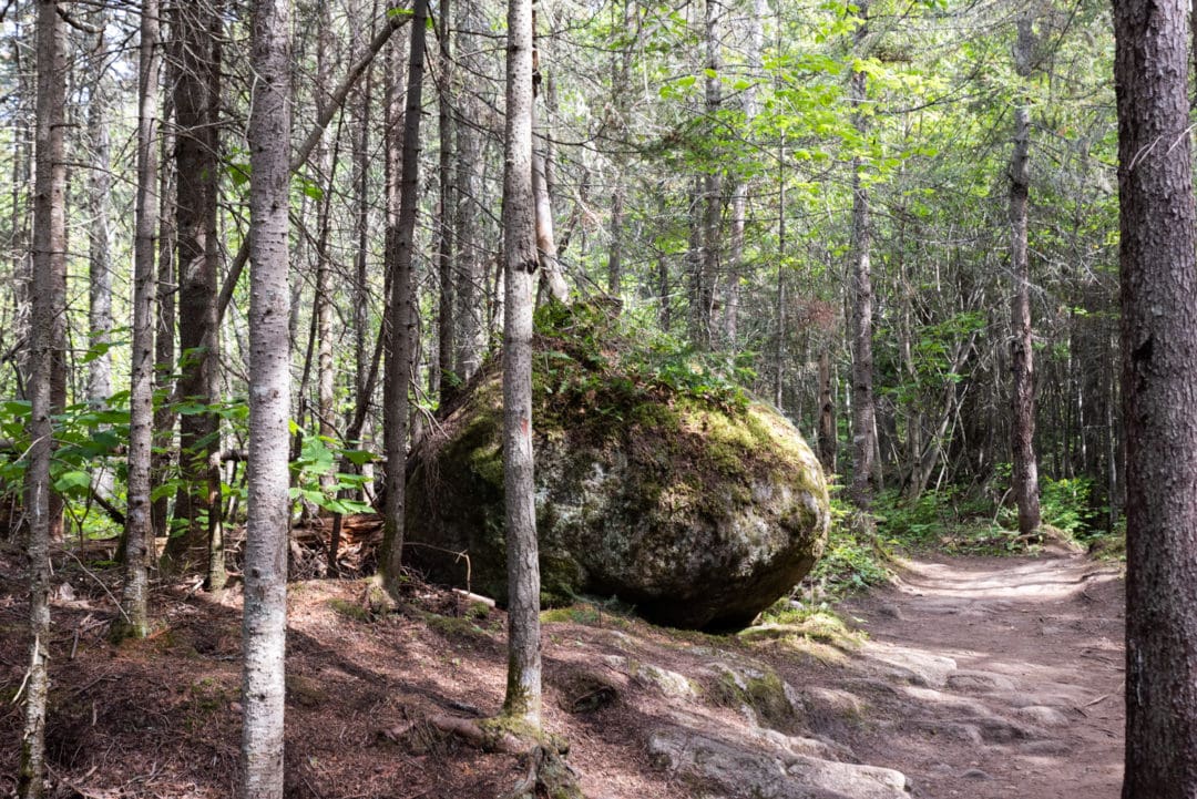 Parc national du Fjord de Saguenay randonnée du sentier de la statue