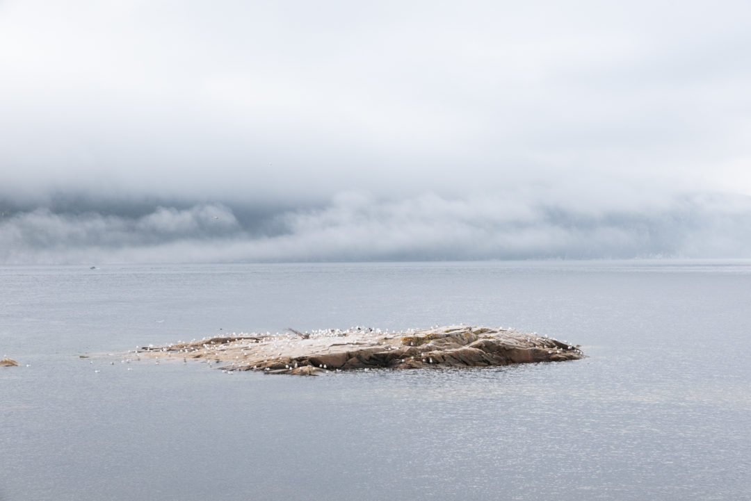 pointe de l'islet à tadoussac