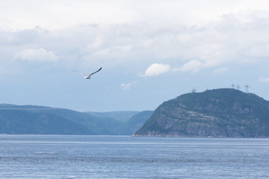 fjord saguenay