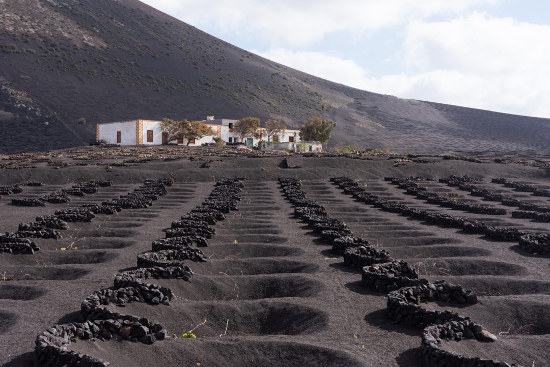 Route des Vins à Lanzarote