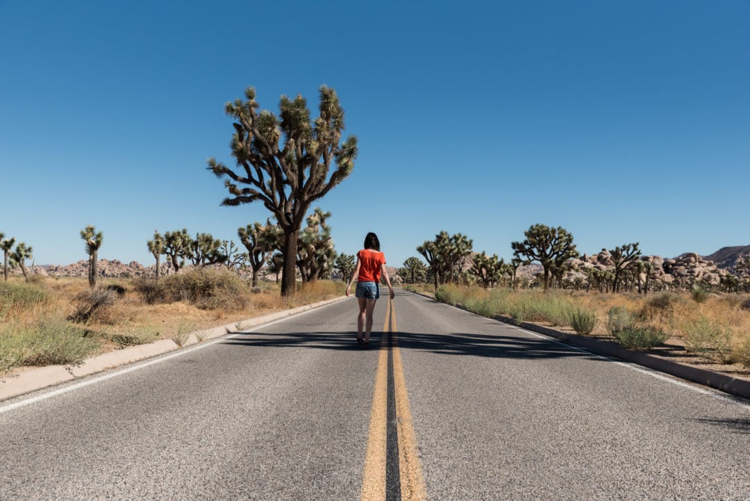 route à joshua tree