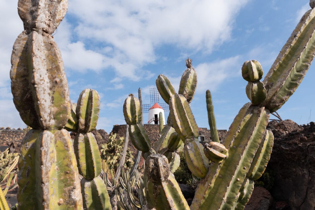 Moulin du jardin de cactus à Lanzarote