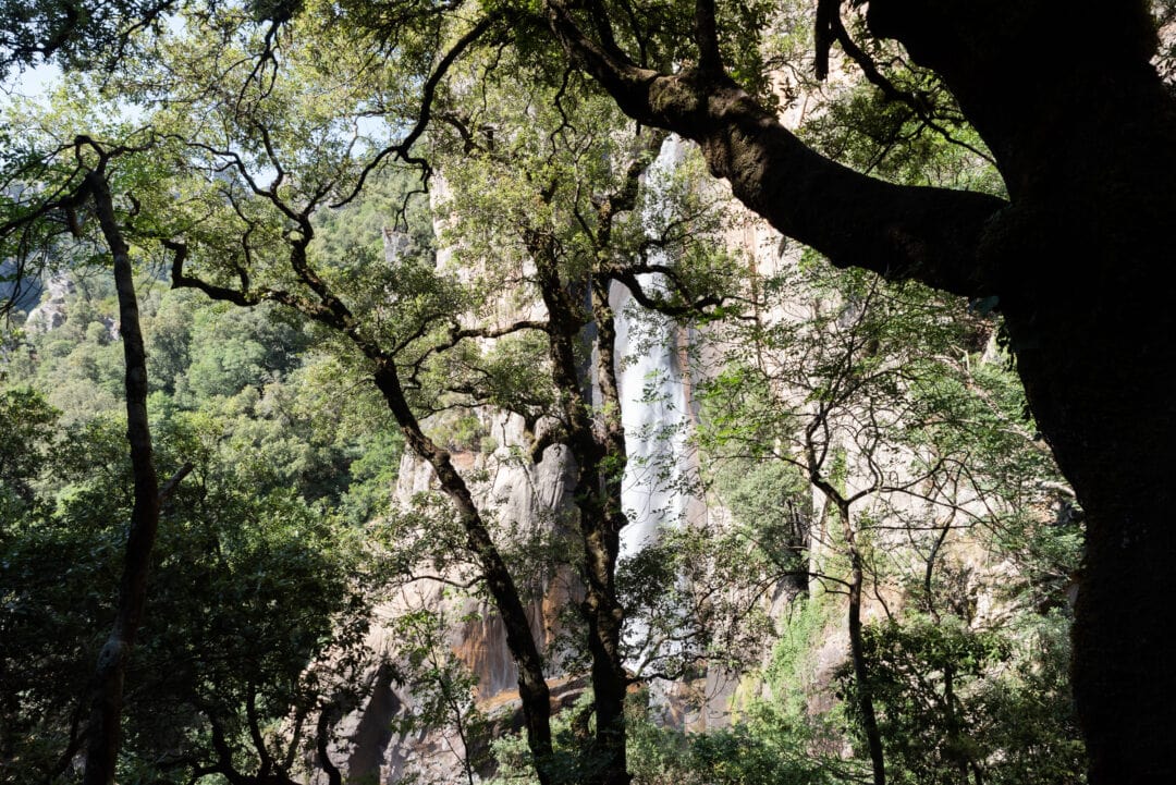 cascade-piscia-di-Ghjaddu-corse