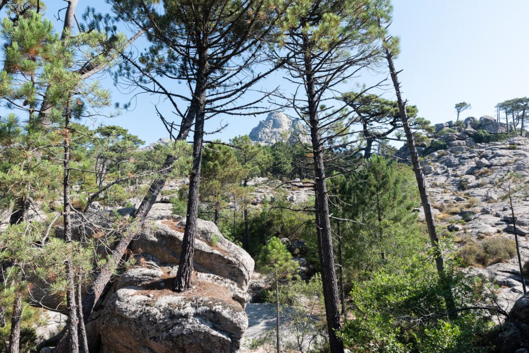 sentier-cascade-piscia-di-Ghjaddu