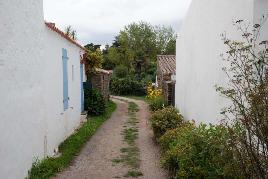 ruelle village île d'yeu