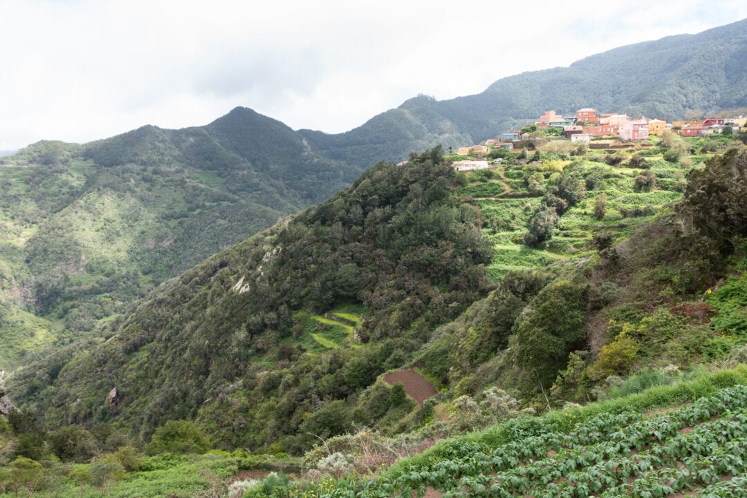 paysage parc rural d'Anaga