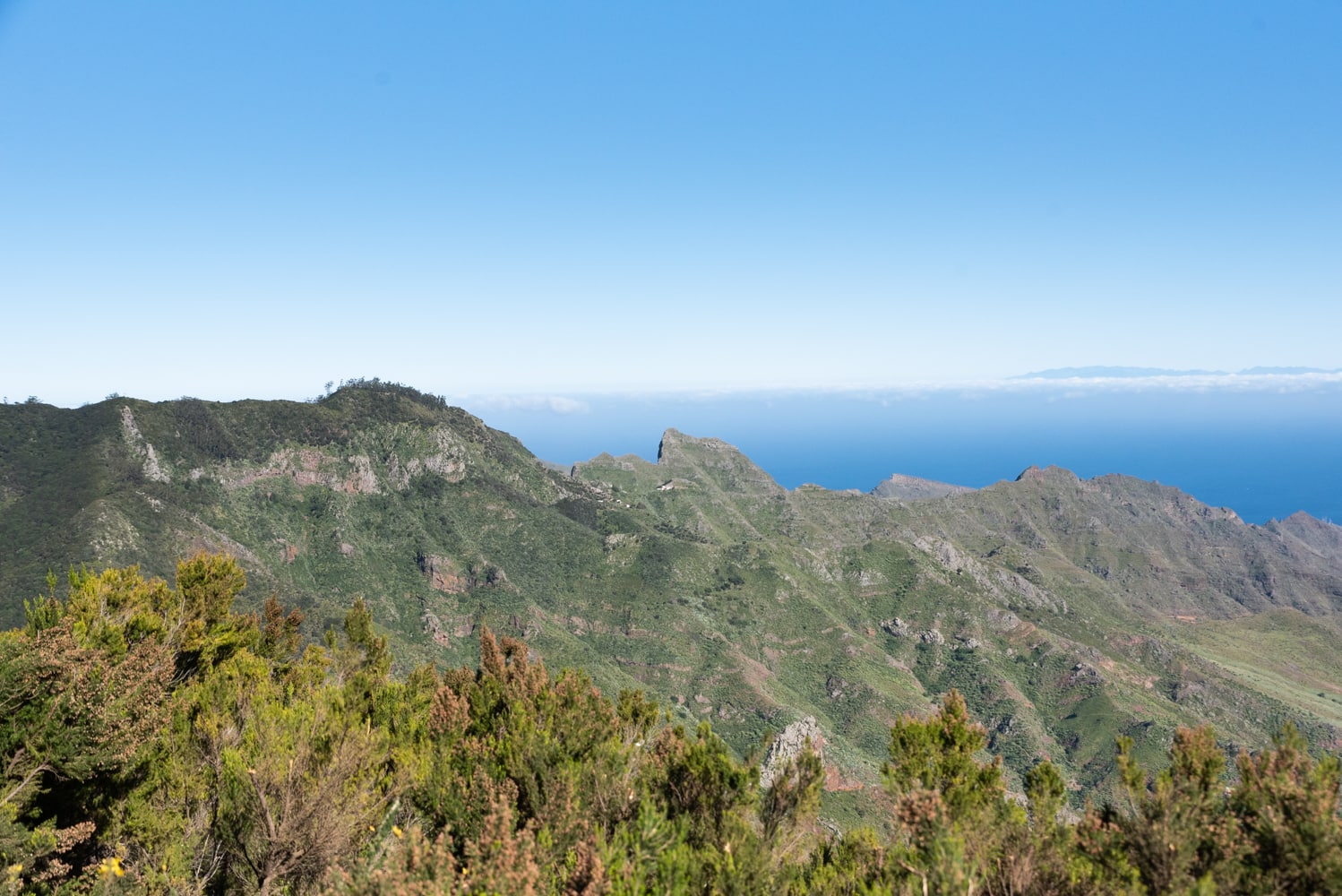 panorama el sendero de los sentidos