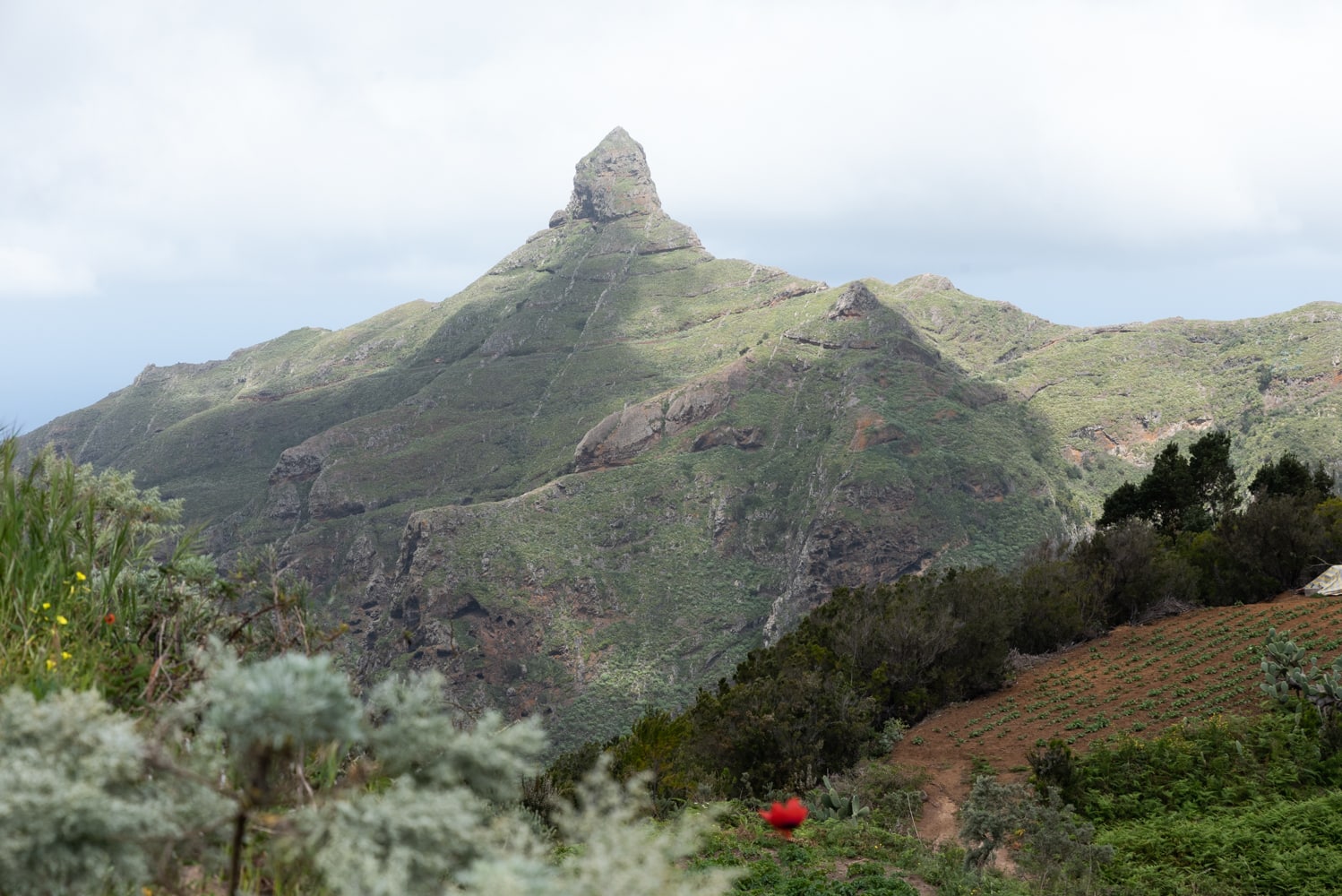 mirador Aguaide via Chinamada à Tenerife