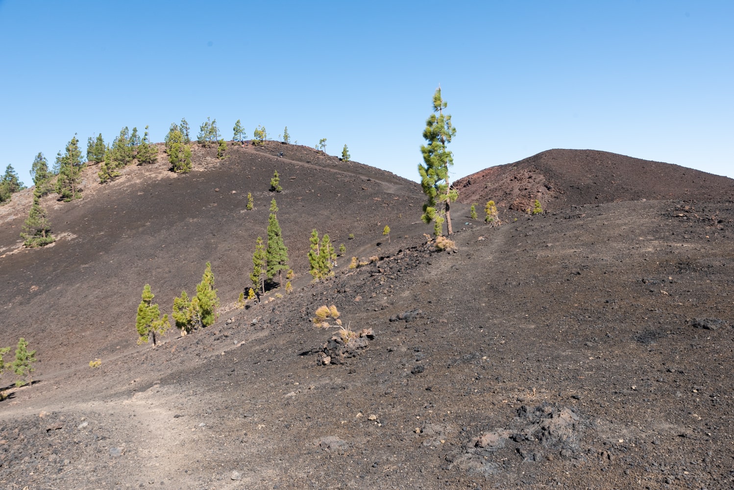 paysages lunaires samara tenerife
