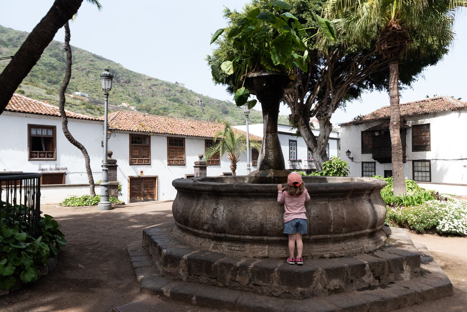place icod de los vinos