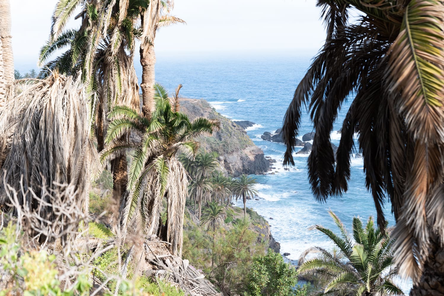 point de vue rambla de castro