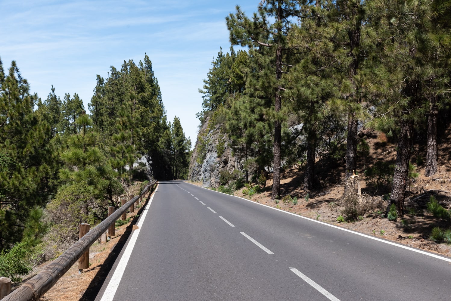 route traversant la coronal forestal