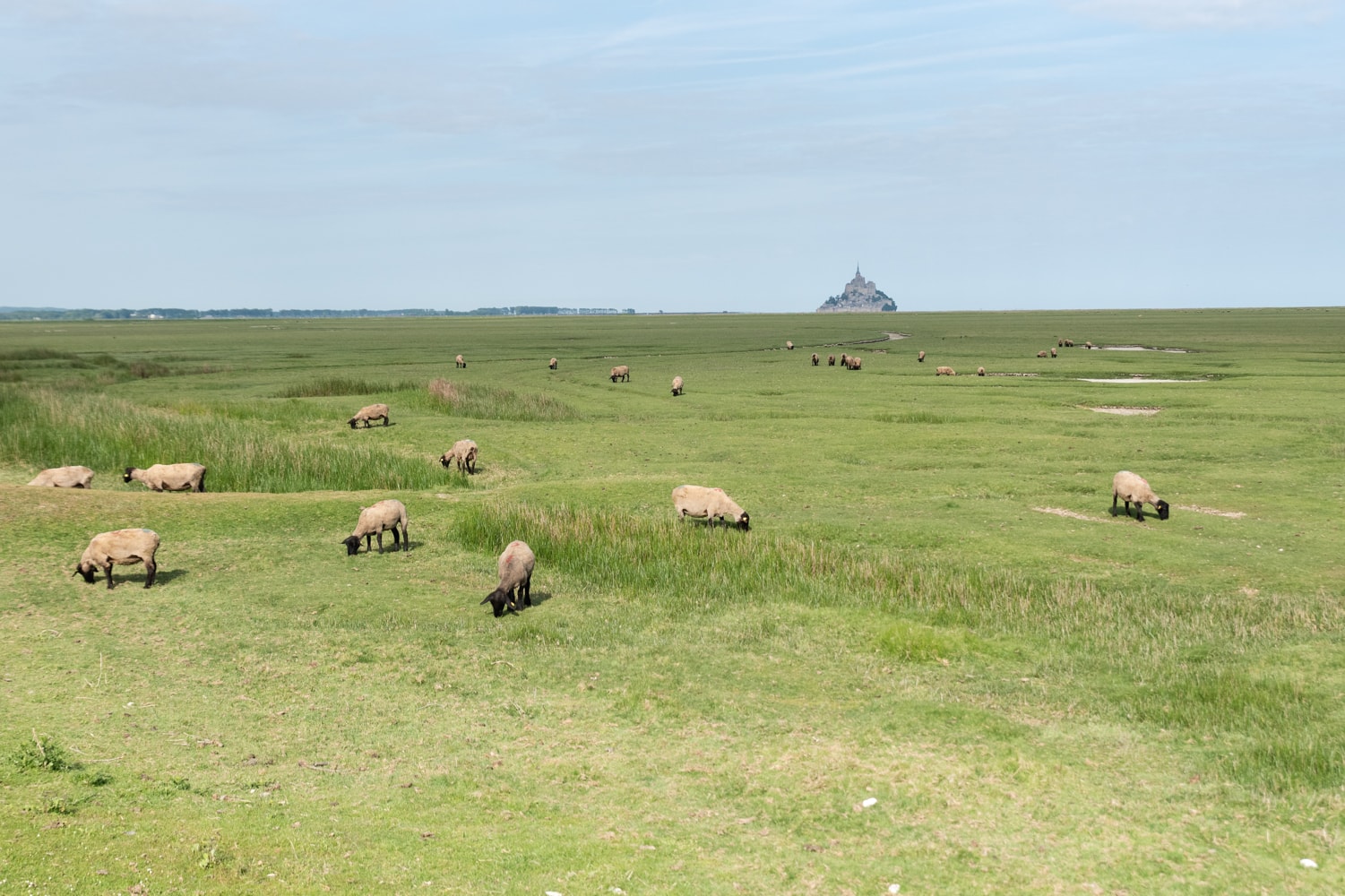 Vue sur le Mont-Saint-Michel depuis le Véloscénie