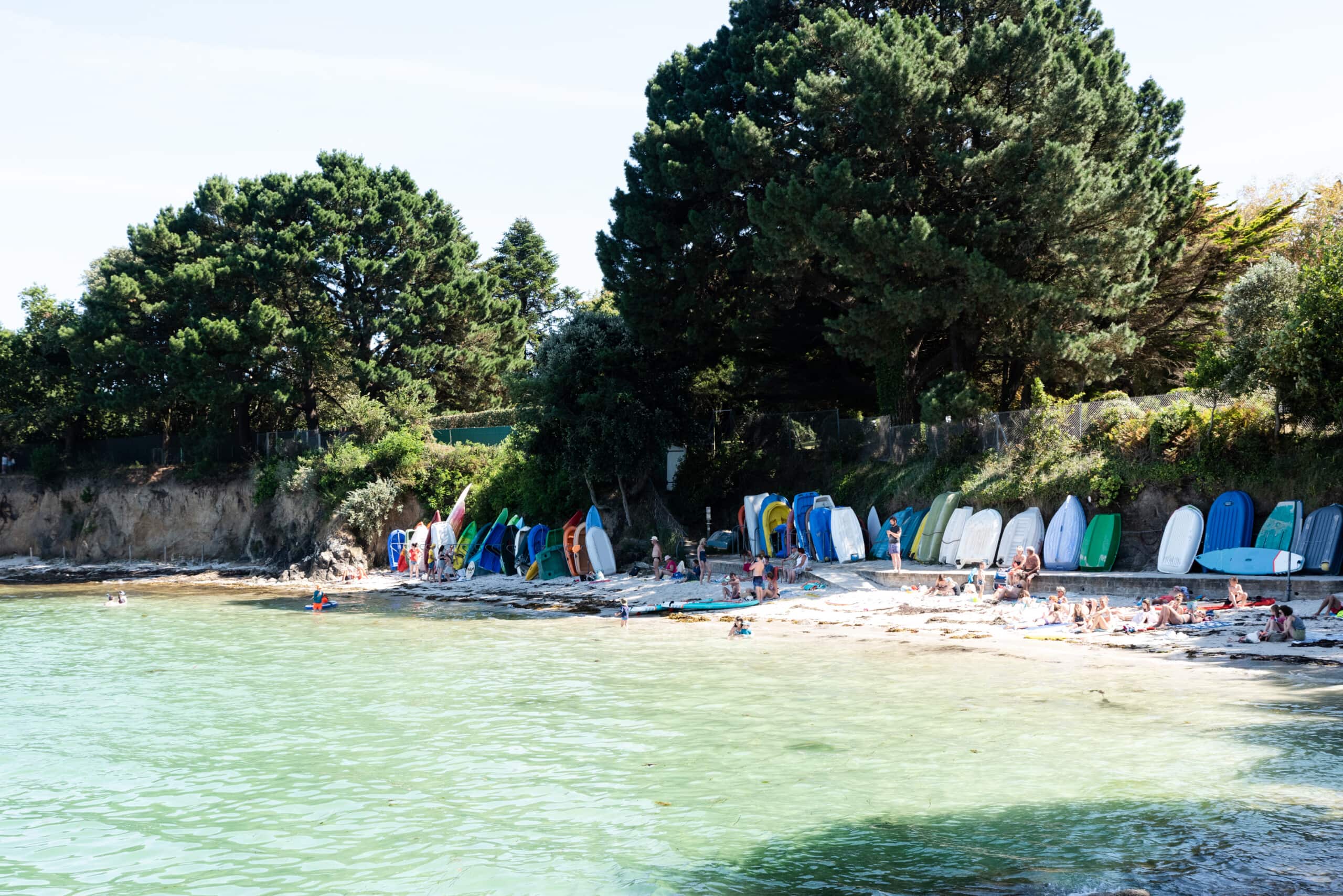 plage des oiseaux Finistère sud