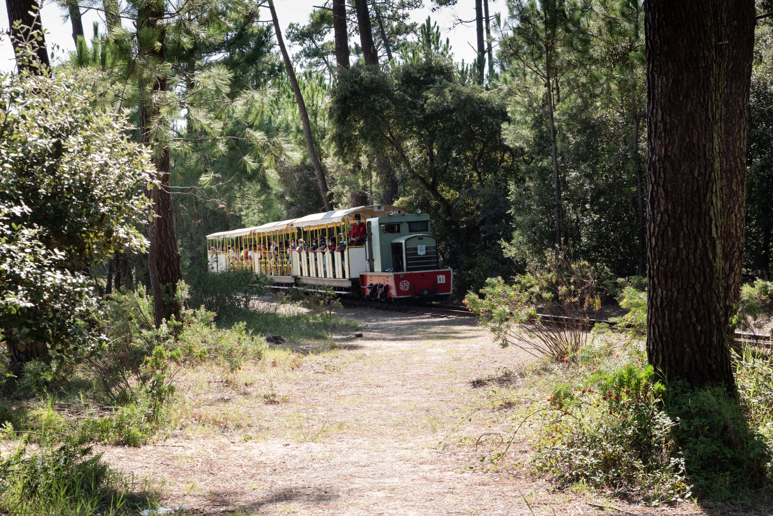 Le P'tit train de Saint-Trojan