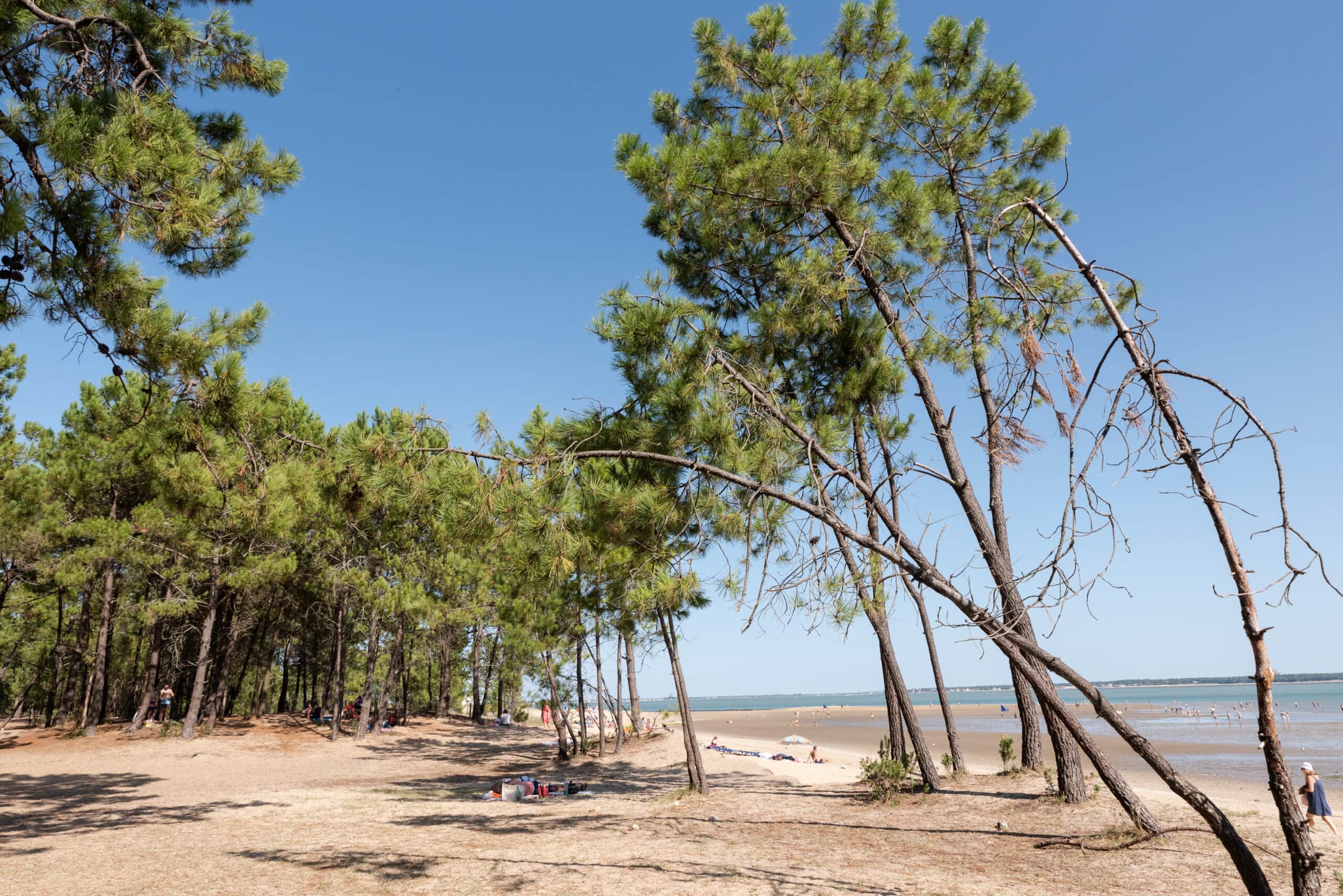 Plage de Gatseau à l'Île d'Oléron