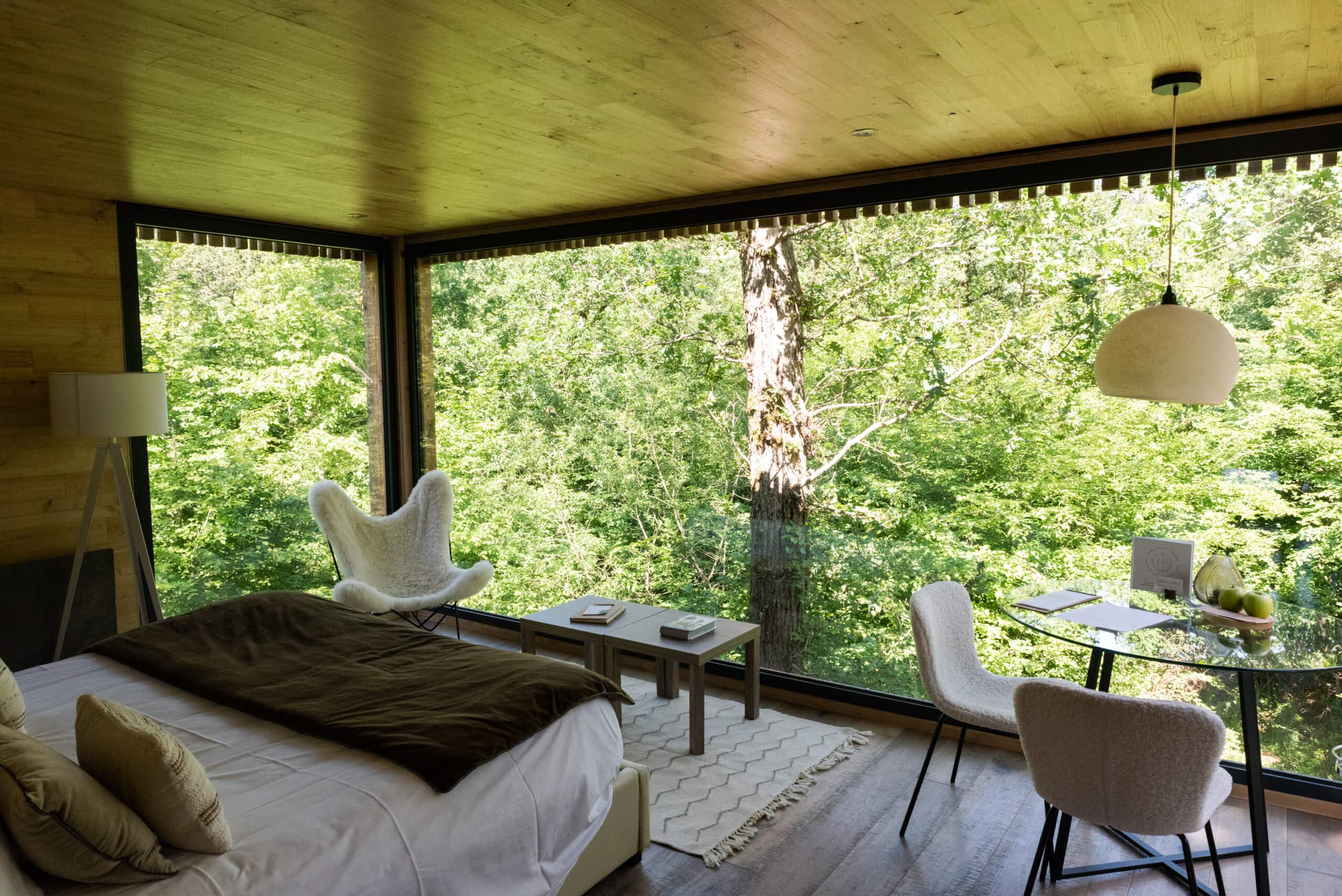 Chambre avec vue sur les arbres