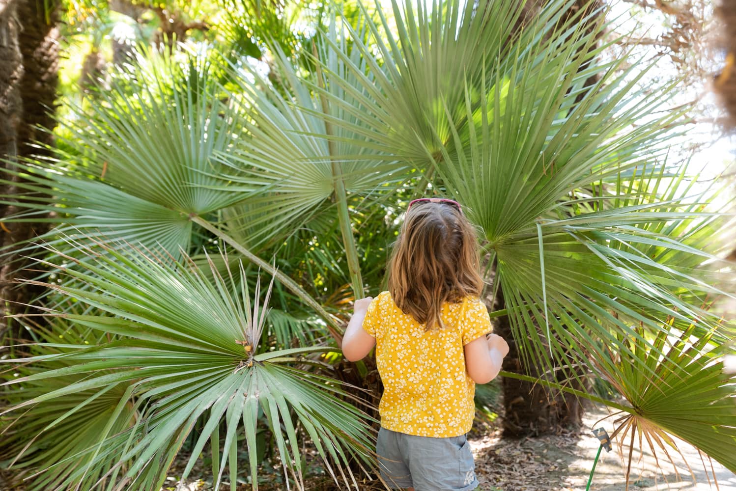 Jardin botanique de Vauville