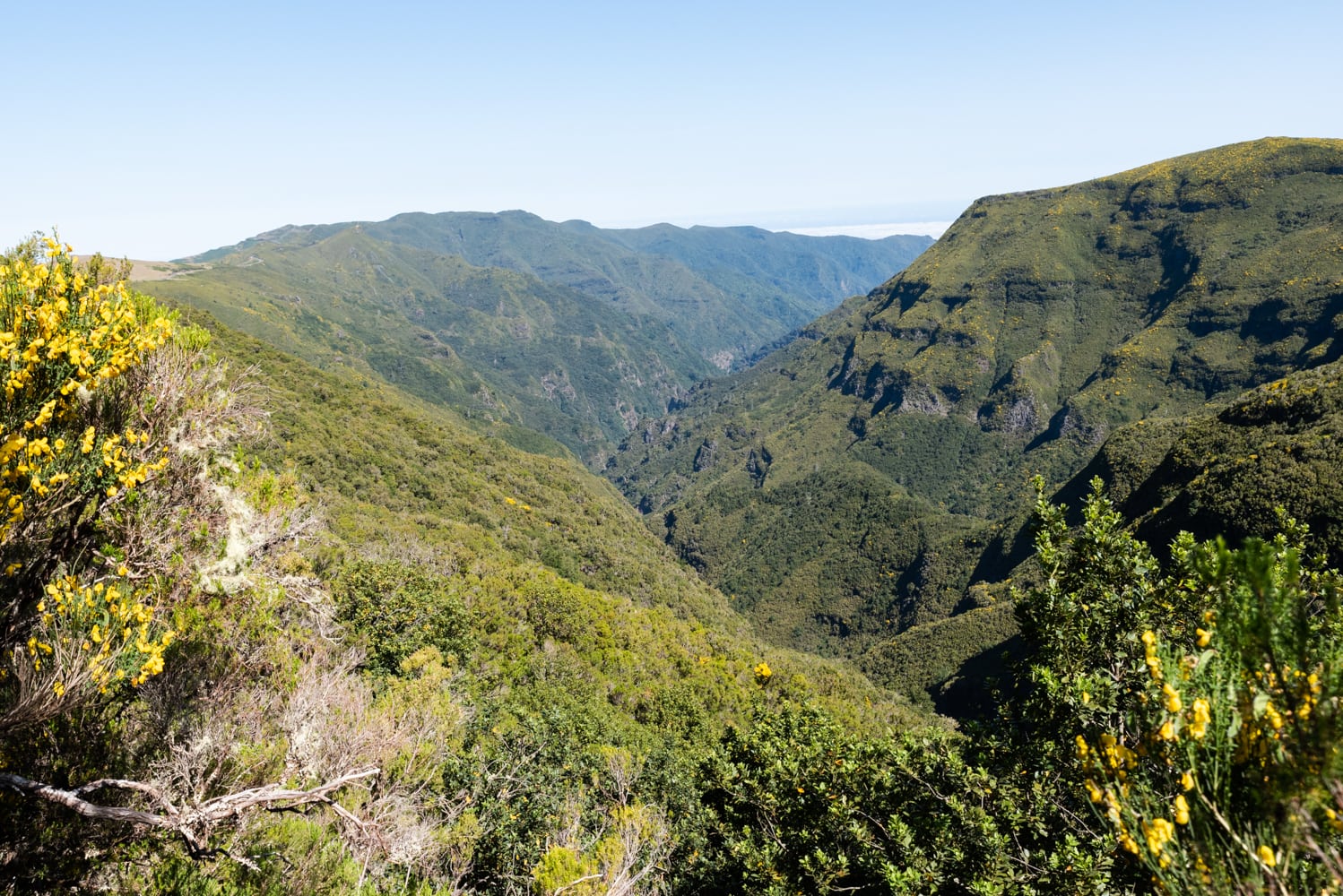 Levada do Alecrim