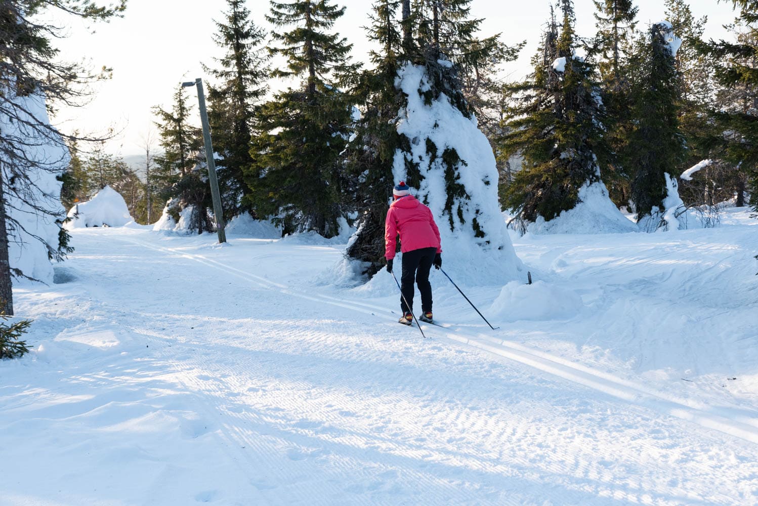 ski de fond à Iso Syöte