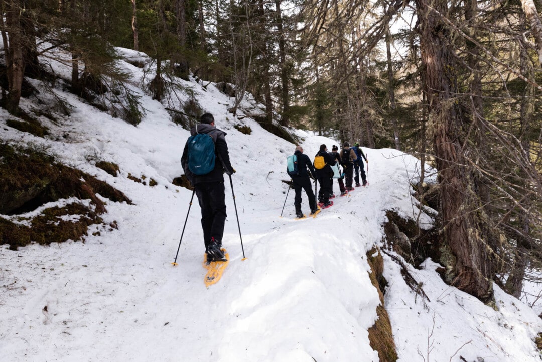 Balade en raquettes à Chamonix