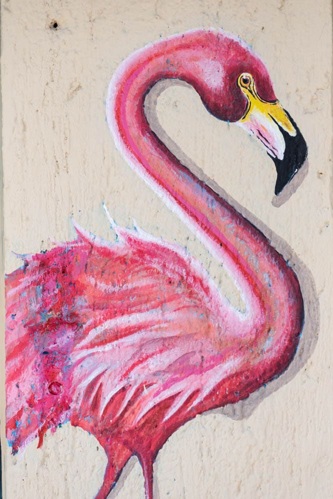 flamant rose street art Rio Lagartos