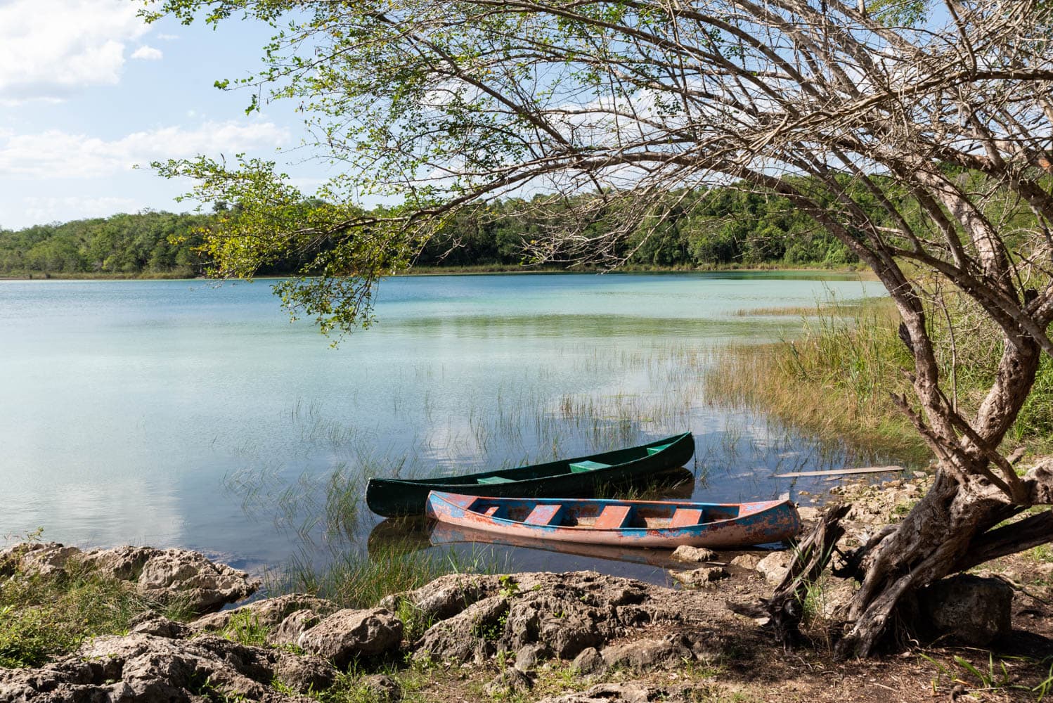 réserve naturelle de Punta Laguna