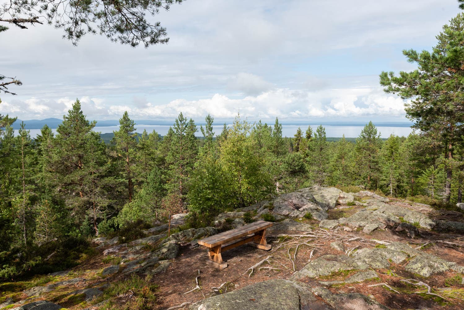 forêt lac siljan suède
