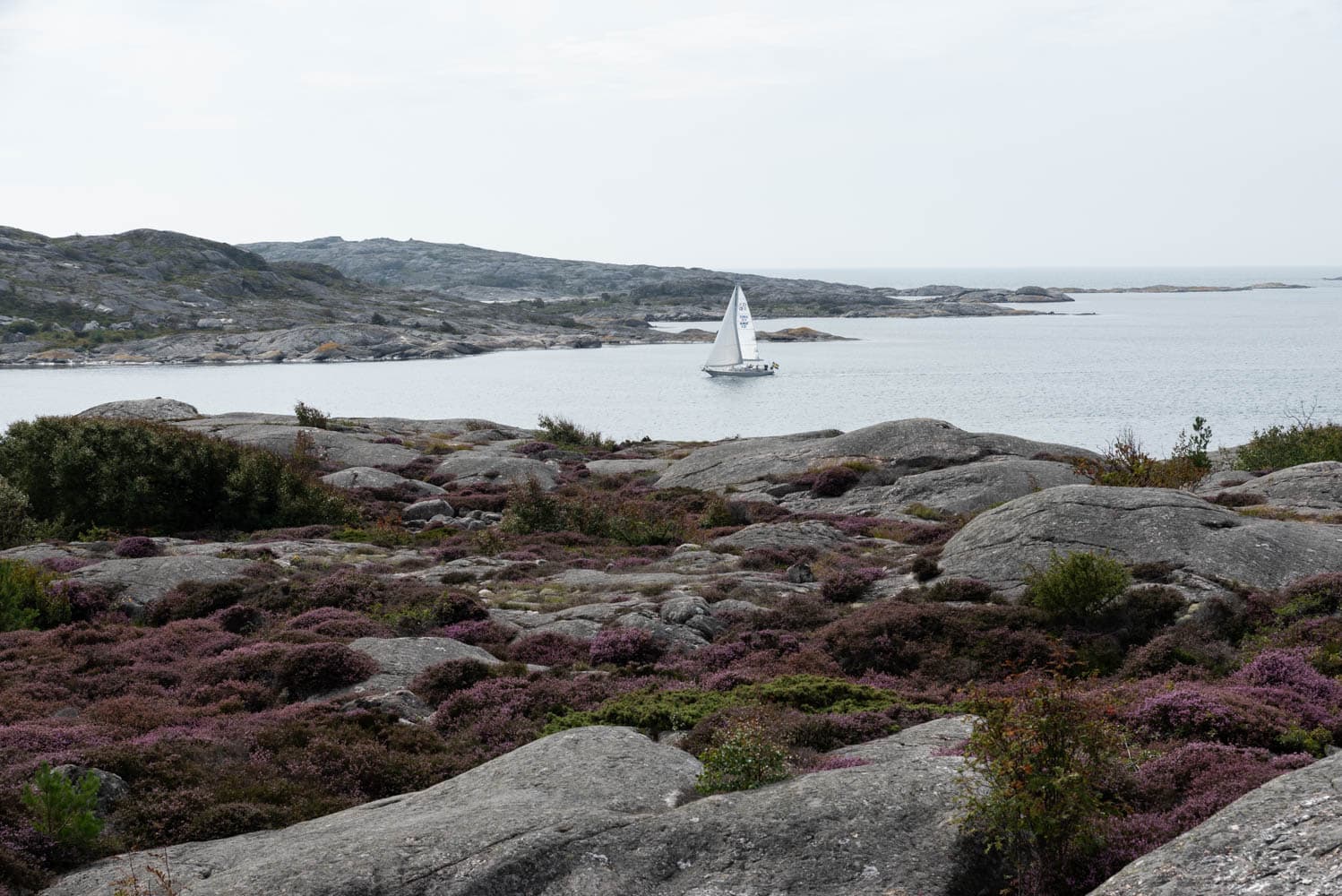 île de Vrangö sur l'archipel de Göteborg