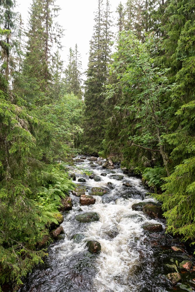 parc fulufjället suède
