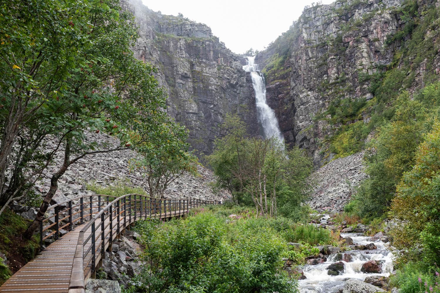 parc national Fulufjället suède