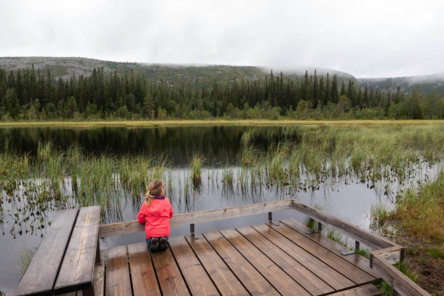 parc national Fulufjället