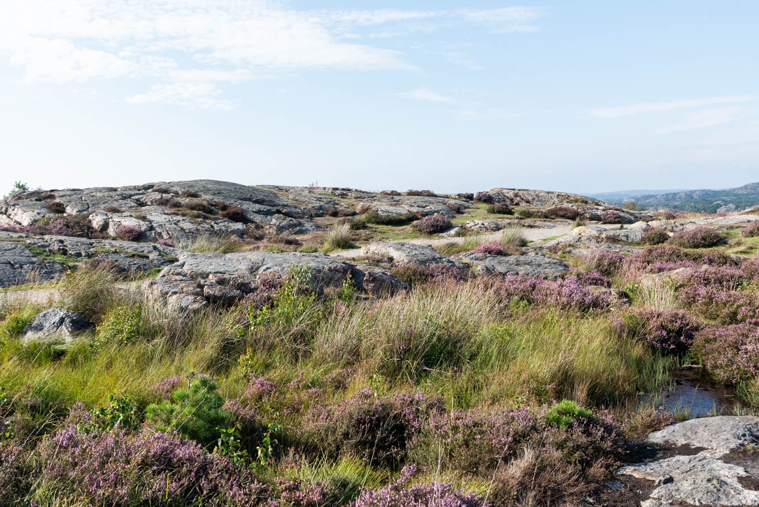 parc Pilane côte du Bohuslän