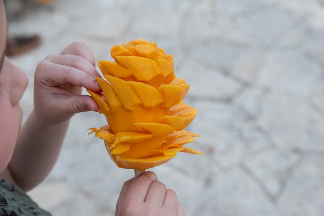 mangue fraîche Bacalar