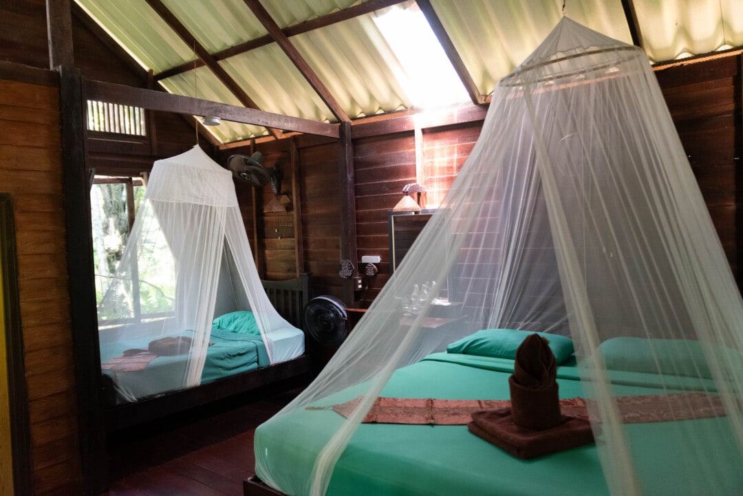 chambre-khao-sok-riverside-cottages