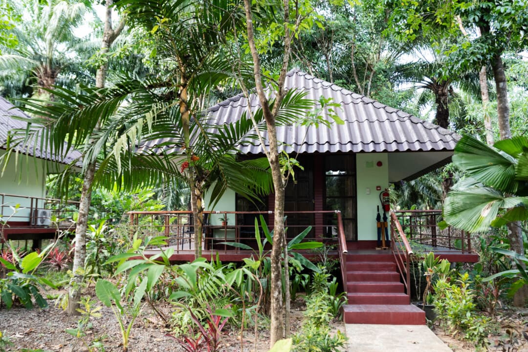 Khao Sok River & Jungle Bungalow