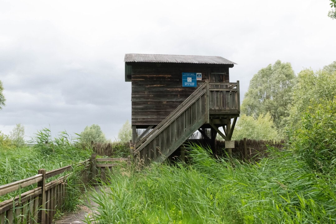 observatoire ornithologique lac rille
