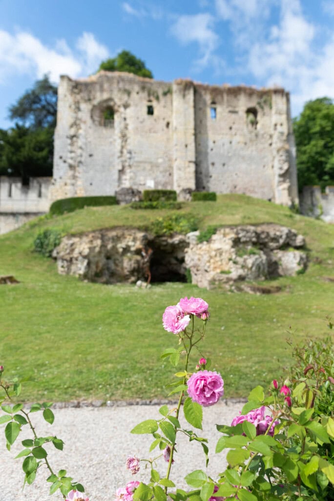 vue ruines château de langeais