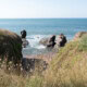 paysage-corniche-vendéenne